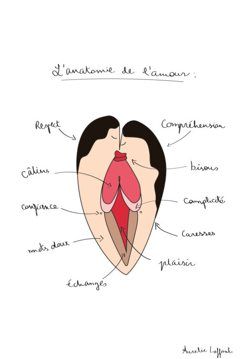 L'anatomie de l'amour