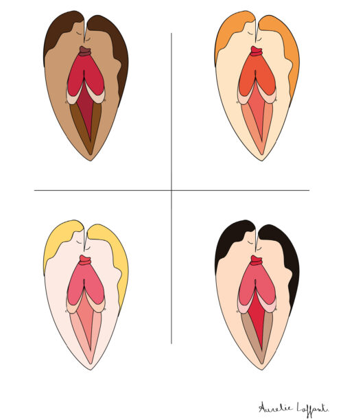 L'anatomie de l'amour