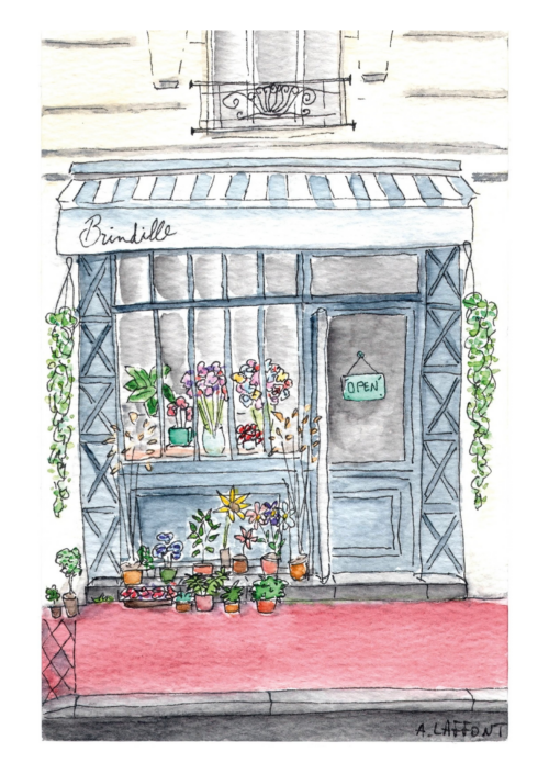 Fleuristerie Brindille