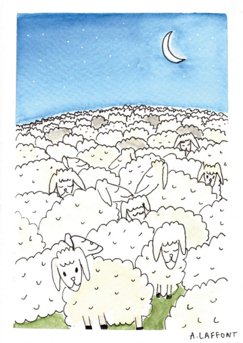 Moutons